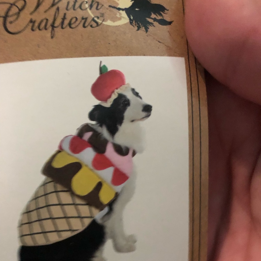 Dog ice cream cone costume. Size XXL.